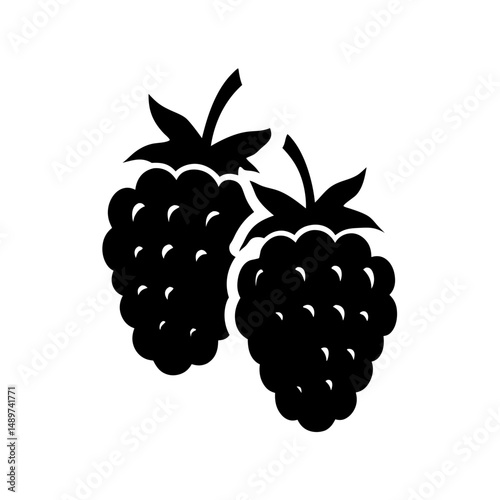 blackberries fruit minimalist silhouette icon isolated vector illustration
