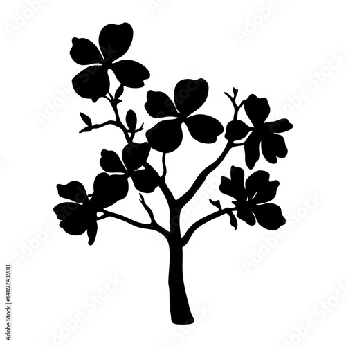 dogwood tree black silhouette vector illustration