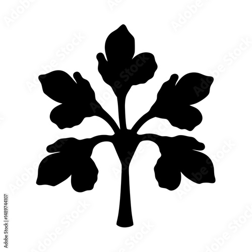 dogwood tree black silhouette vector illustration