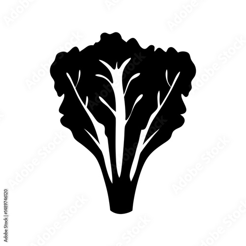 lettuce head black silhouette vector illustration