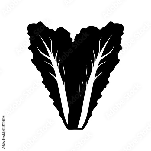 lettuce head black silhouette vector illustration