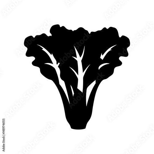 lettuce head black silhouette vector illustration