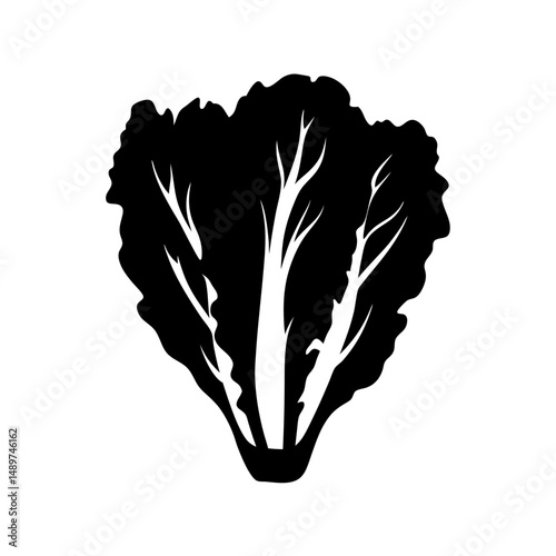 lettuce head black silhouette vector illustration