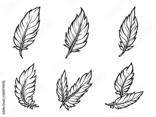 Griffin Feather line art vector illustration