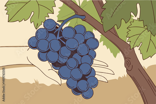 63 blue grapes, cluster of grapes, mature grapes, ripe grapes, hand holding grapes, grape vine, vineyard, outdoor scene, natural lighting, close-up