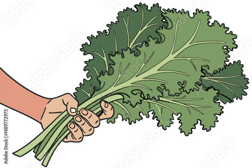 68 a hand holding fresh, vibrant kale leaves, lush green foliage, textured leaves, detailed natural imagery, high definition, cinematic lighting, close-up view, food photography, studio lighting, mini