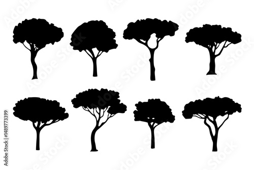 Mature stone pine tree silhouette icons vector illustration