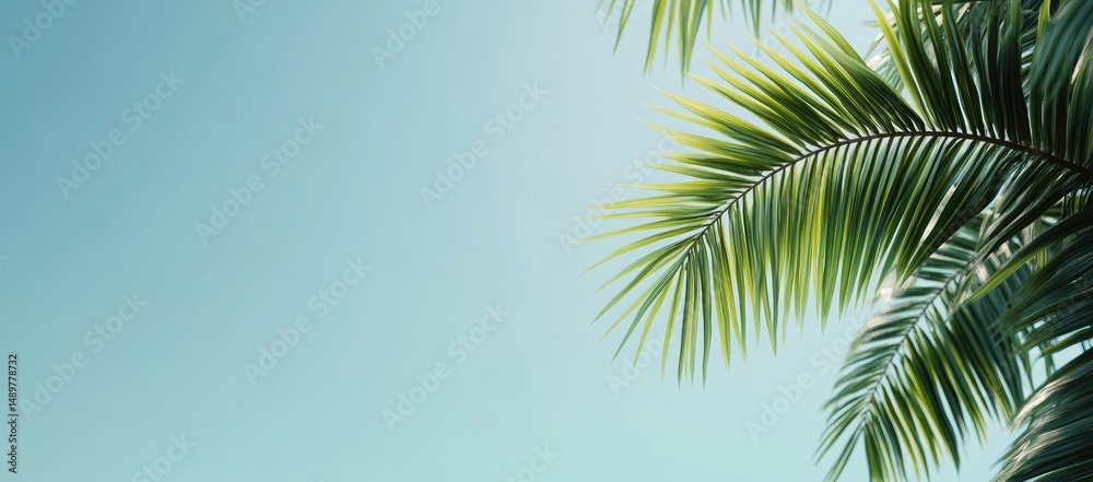 Fototapeta premium Lush Palm Fronds Against a Pale Sky