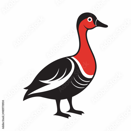 Red-breasted goose vector art illustration.