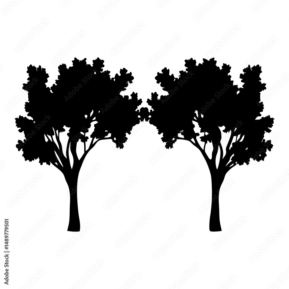 Fototapeta premium Cottonwood Tree Silhouettes Isolated on White Silhouette Vector Illustration