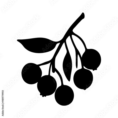Elderberry Fruit Minimalist Silhouette Vector Illustration