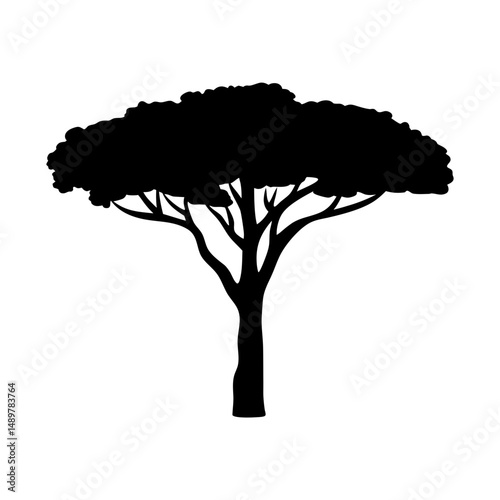 Stone pine tree mature silhouette vector illustration