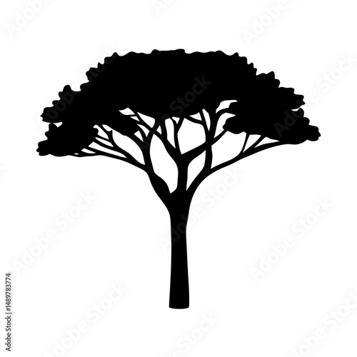 Stone pine tree mature silhouette vector illustration