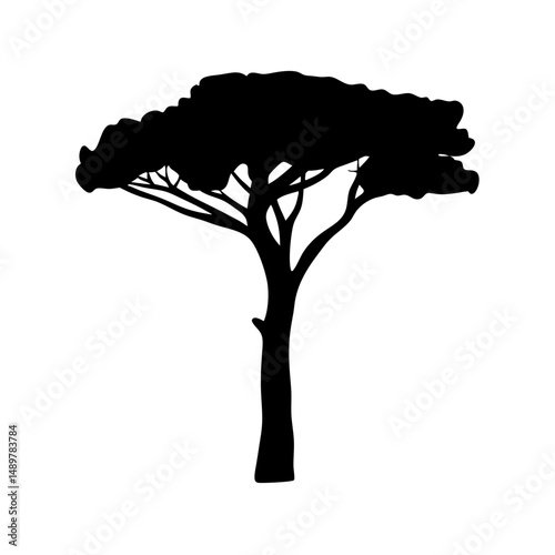 Stone pine tree mature silhouette vector illustration