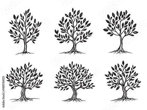 Olive Tree line art vector illustration