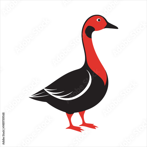 Red-breasted goose vector style illustration.