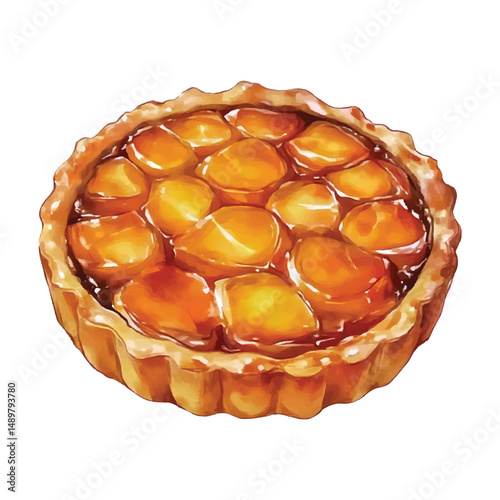 Delicious watercolor apricot tart vector illustration with transparent background