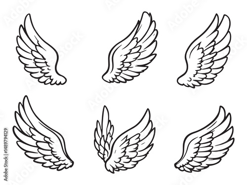 Pegasus Wing line art vector illustration