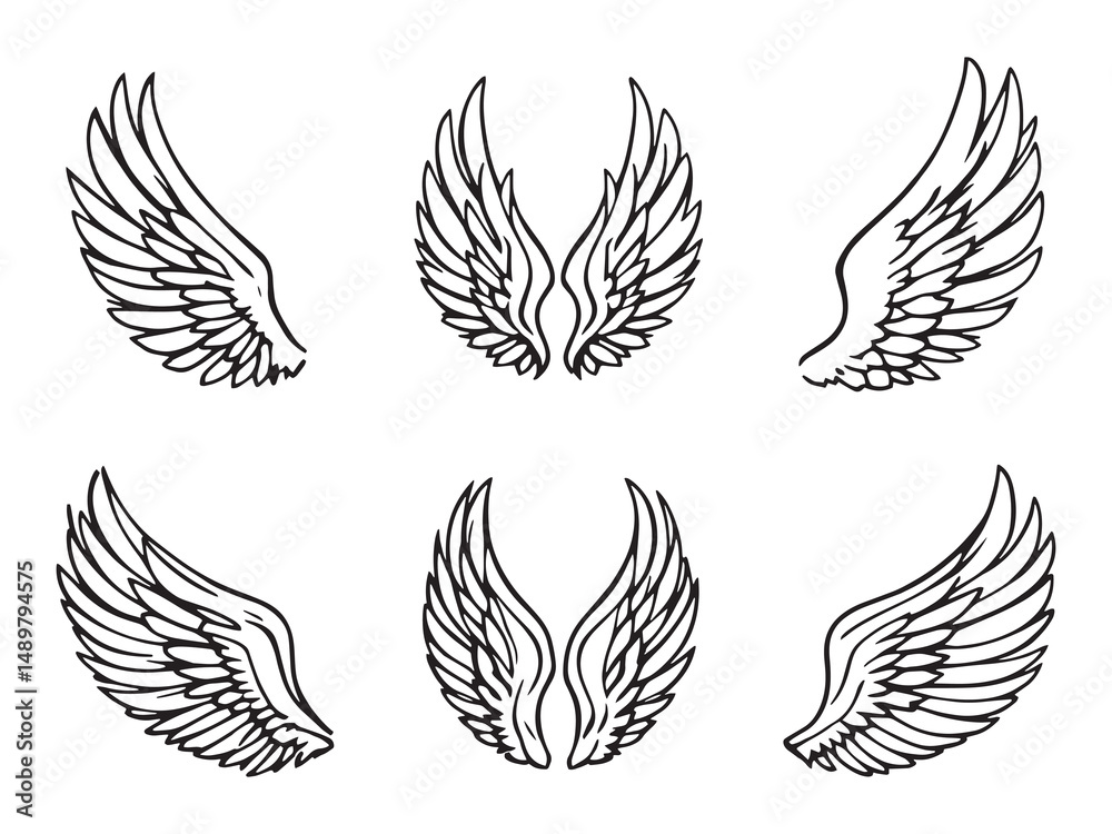 Pegasus Wing line art vector illustration Pegasus Wing line art vector illustration