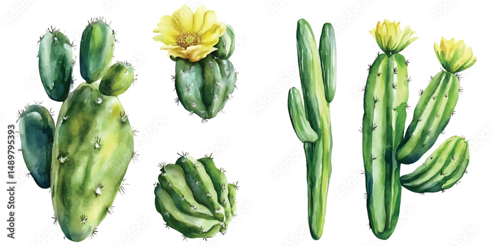 Fototapeta premium Watercolor cactus collection with yellow flowers on transparent background vector png