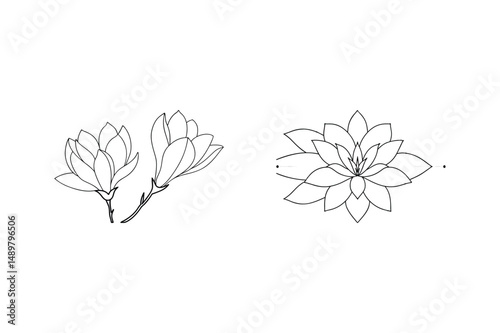 Elegant vector illustration of black and white magnolia and lotus flower outlines