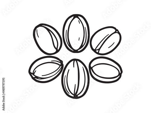 Pistachios line art vector illustration
