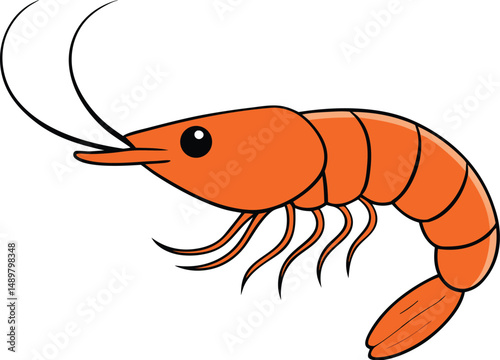 shrimp with white background