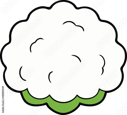 white cauliflower with white background