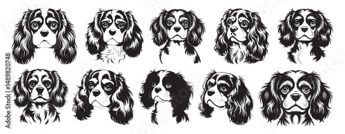 Ten cavalier king Charles spaniel silhouettes collection