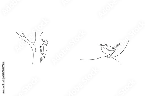 Minimalist line drawing of a woodpecker and bird perched on a branch in nature