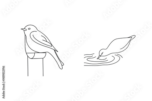 Minimalist black and white line art depicting a perched bird and a drinking bird