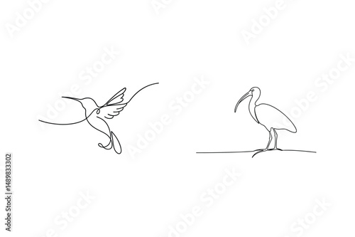 Minimalist linear drawings of a hummingbird in flight and an ibis bird on white background