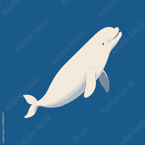 vector illustration of a dolphin