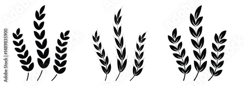  wheat ears icon. Wheat symbol vector flat icons.