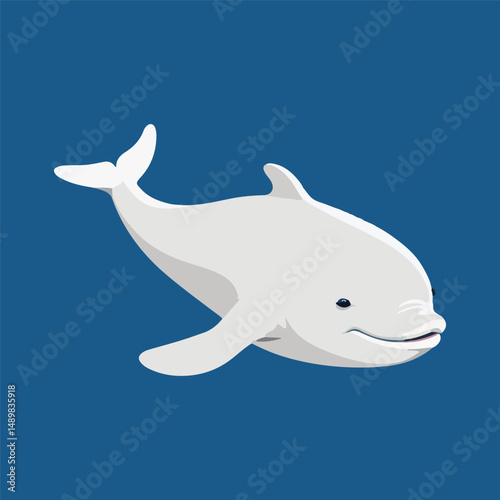 vector illustration of a dolphin