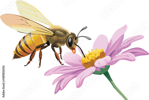 bee on flower
