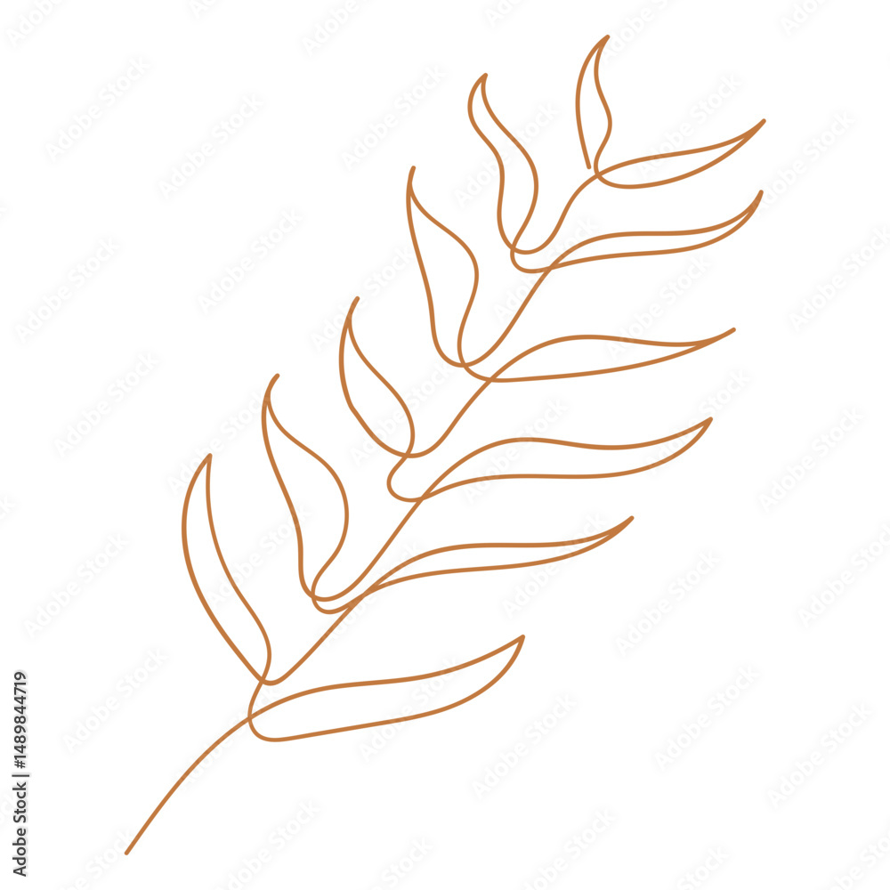 Floral Line Element Floral Line Element