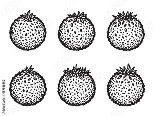 Falafel line art vector illustration