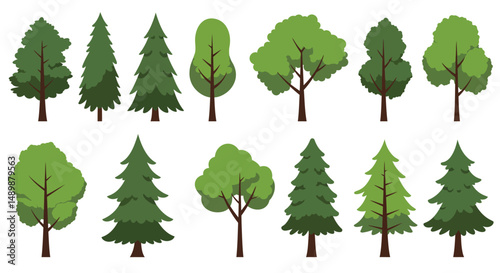 Diverse Illustrated Trees Collection for Design & Education