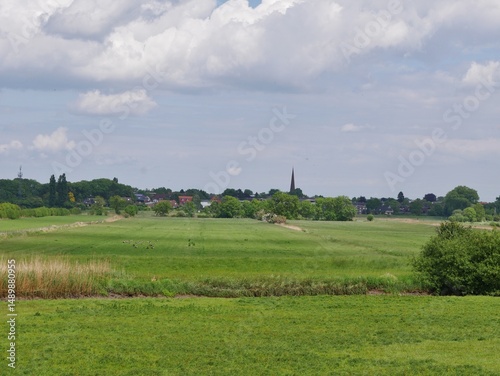 Haseldorfer Marsch bei Wedel im Frühling