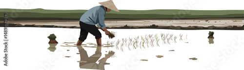 Minimalist Rice Planting Vector