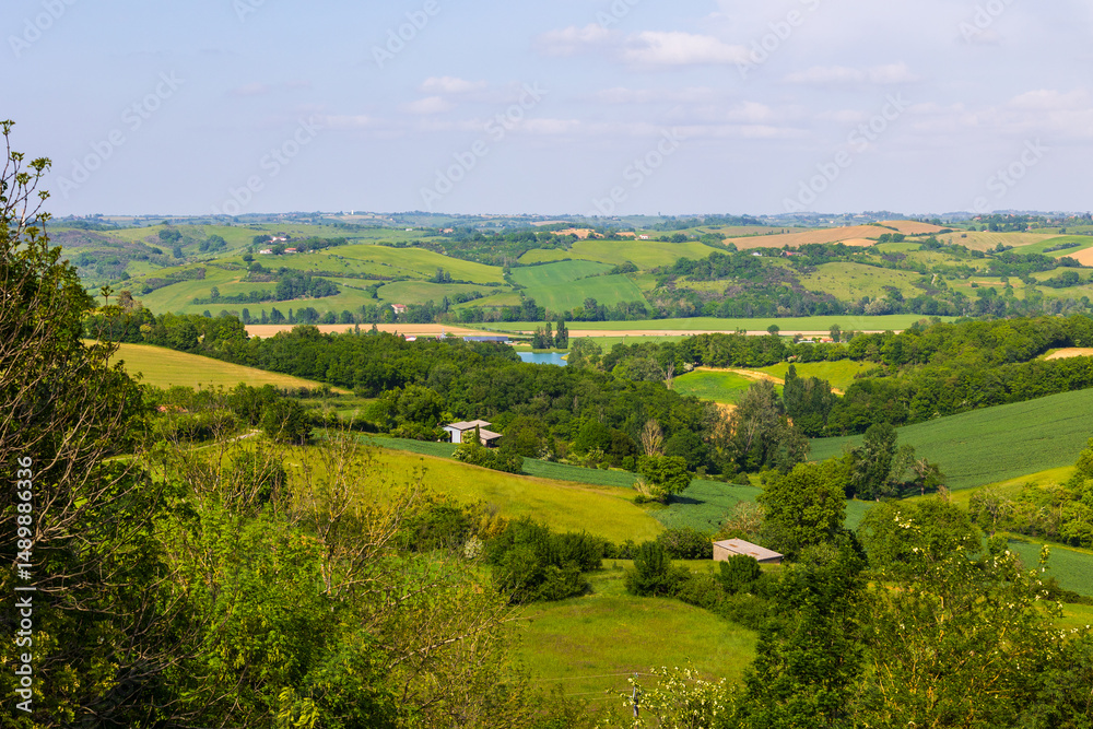 Obraz premium Agricultural landscape of hills, hedges, and forests in the valley of the Lèze from the village of Carla-Bayle