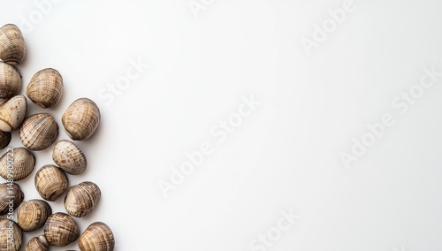 Wallpaper Mural Fresh clams arranged in a corner on a white surface Torontodigital.ca