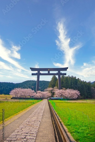 熊野本宮大社 大鳥居 桜