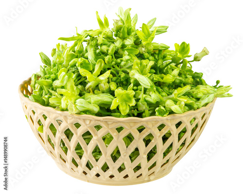 a woven plastic basket holds bright green tonkin jasmine flowers, their delicate petals and tiny buds forming a lush cluster.