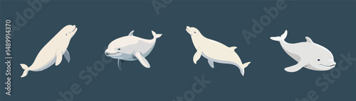 set vector illustration of a dolphin