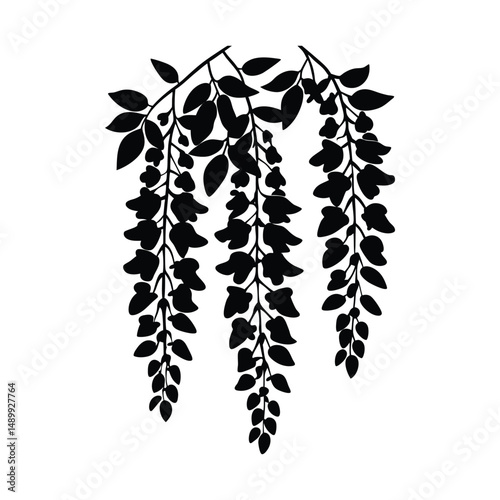 Flat and Minimal Wisteria Flower silhouette logo vector illustration isolated on white background 