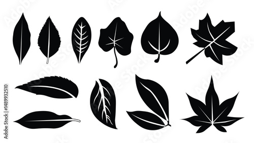 set of leaves vector sihouette