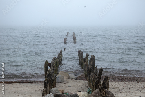 Wallpaper Mural A foggy beach scene with weathered wooden posts stretching into the sea. Soft sand and moody light evoke quiet solitude and timeless decay along a forgotten shoreline. Torontodigital.ca