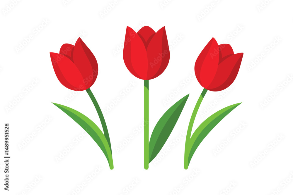 Obraz premium red tulips on white background